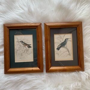 Art Framed Pair Of Vintage Hummingbird Colorful Print Wood Frame Wall Home Decor